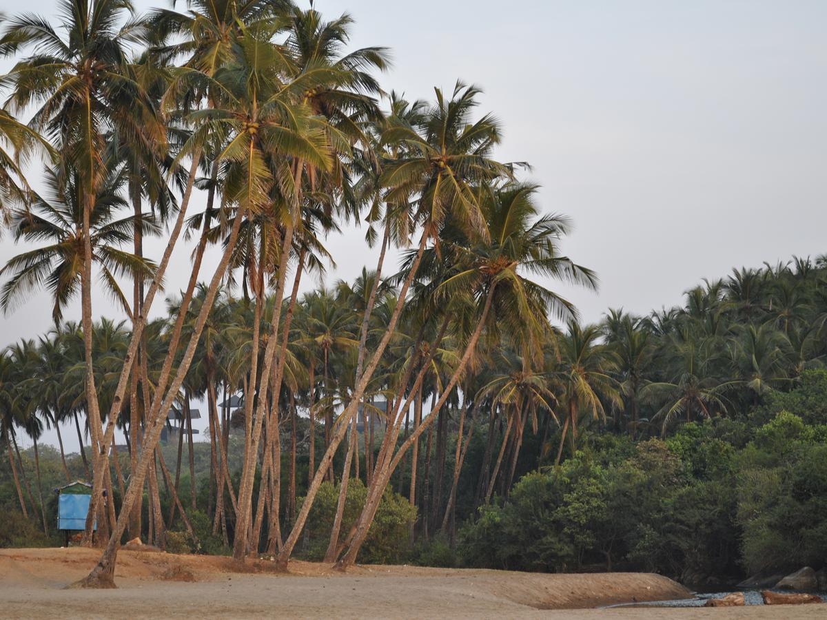 Tutti Garden Bungalows Hotel Mormugao Eksteriør billede