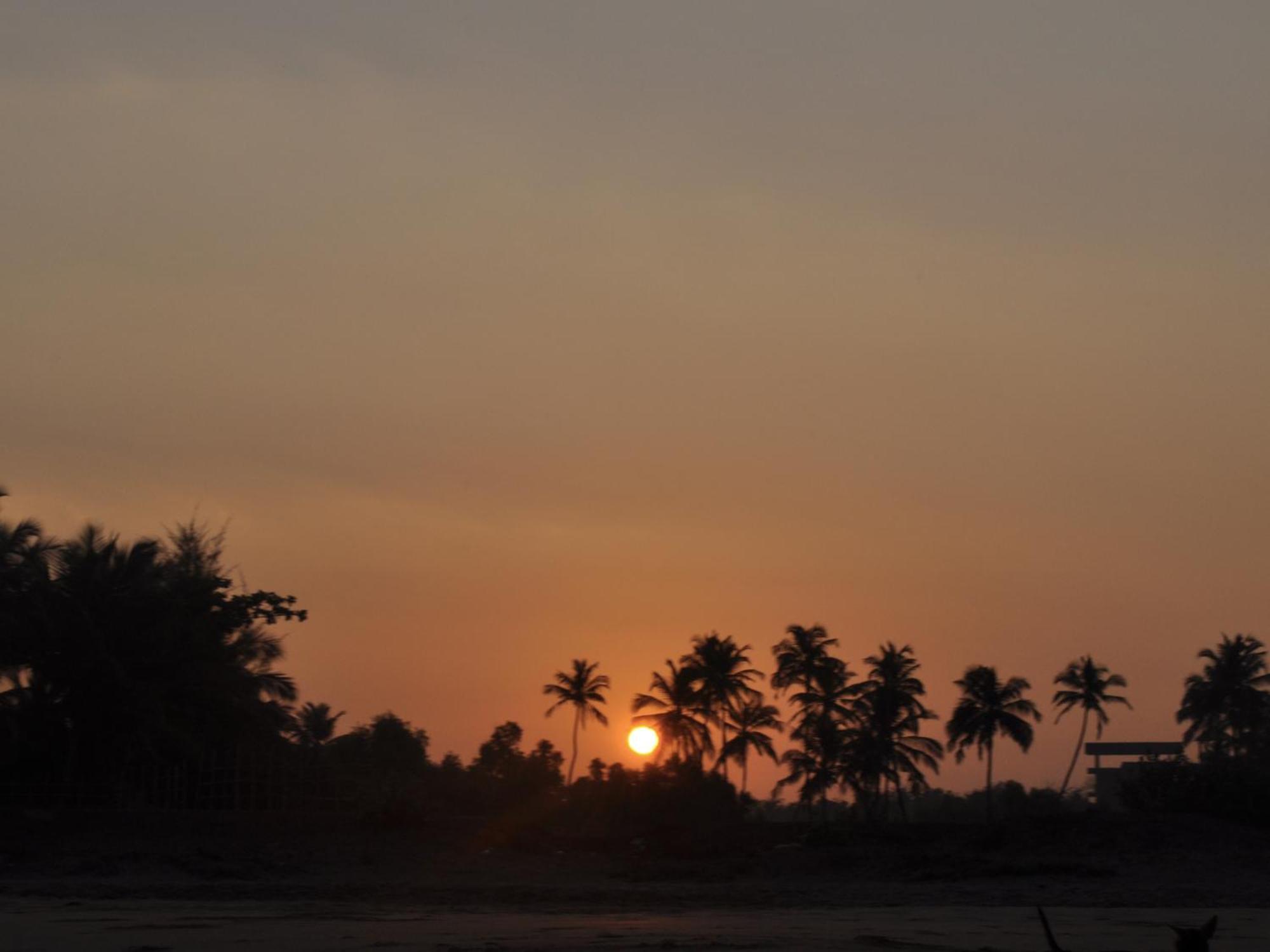 Tutti Garden Bungalows Hotel Mormugao Eksteriør billede